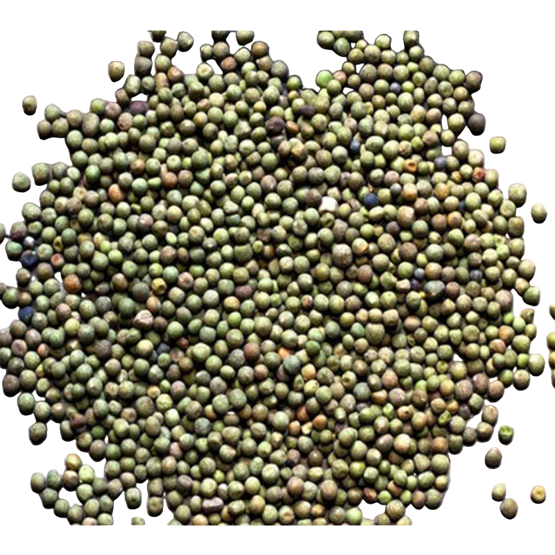 Sano Kerau (Dried Green Beans)